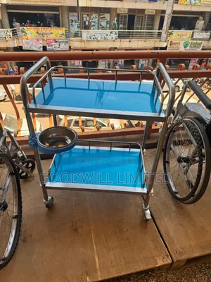 Treatment Trolley Double Shelves