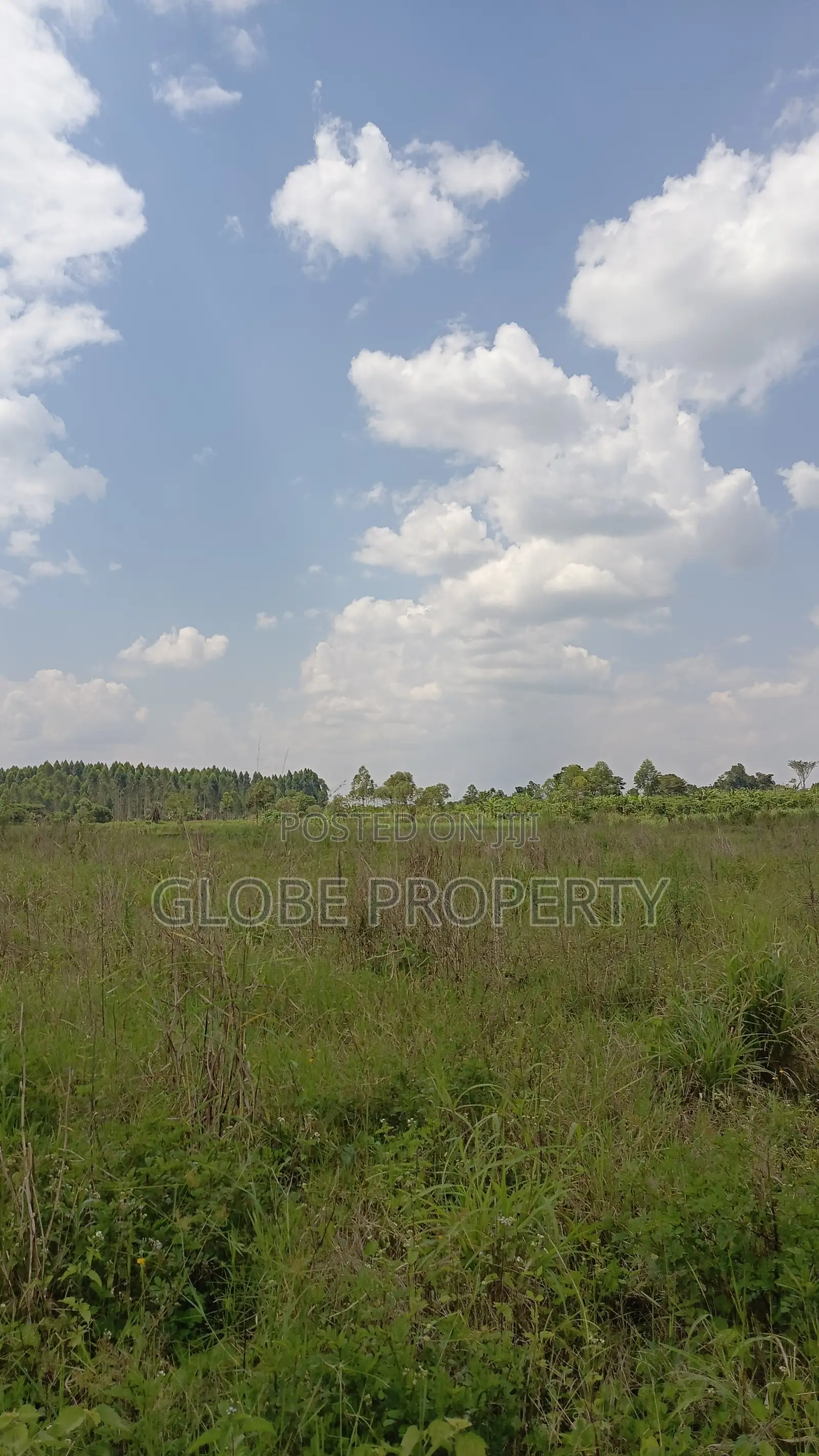 100 Acres of Farmland for Sale in Bbale Kayunga at Ugx 7m Per Acre.