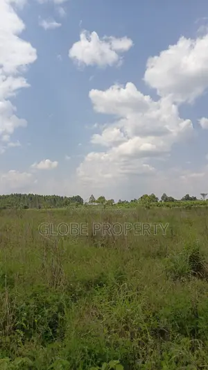100 Acres of Farmland for Sale in Bbale Kayunga at Ugx 7m Per Acre.