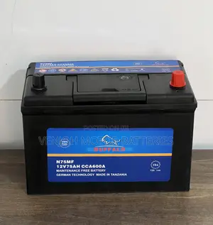 N75 Buffalo Maintenance Free Car Battery