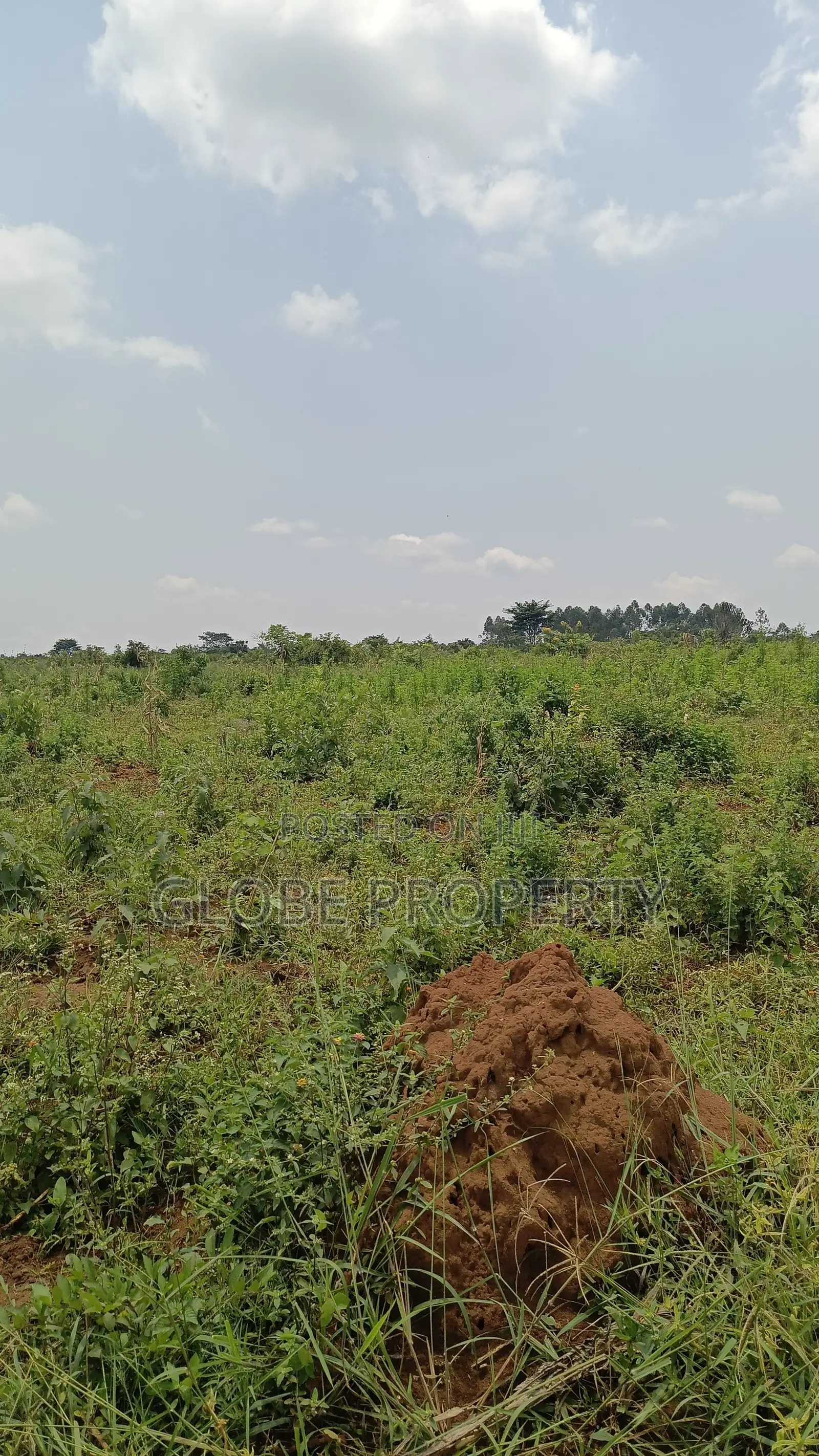 20 Acres of Farm Land for Sale in Bbale at Ugx 7.5m Per Acre