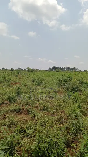 20 Acres of Farm Land for Sale in Bbale at Ugx 7.5m Per Acre