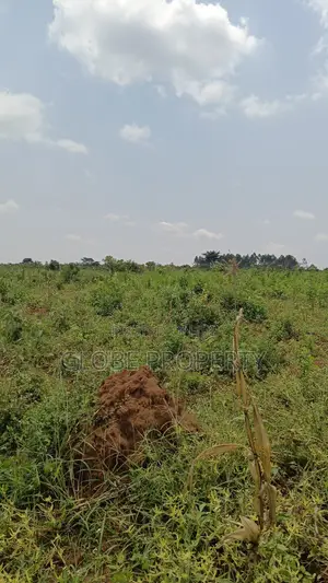 20 Acres of Farm Land for Sale in Bbale at Ugx 7.5m Per Acre