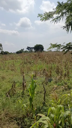 80 Acres of Land for Sale Near Bbale Town