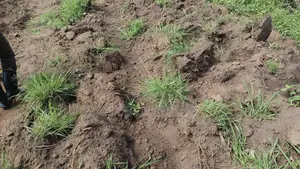 1 Square Mile of Farm Land for Sale in Kayunga at Only 6.5m Owr Acre