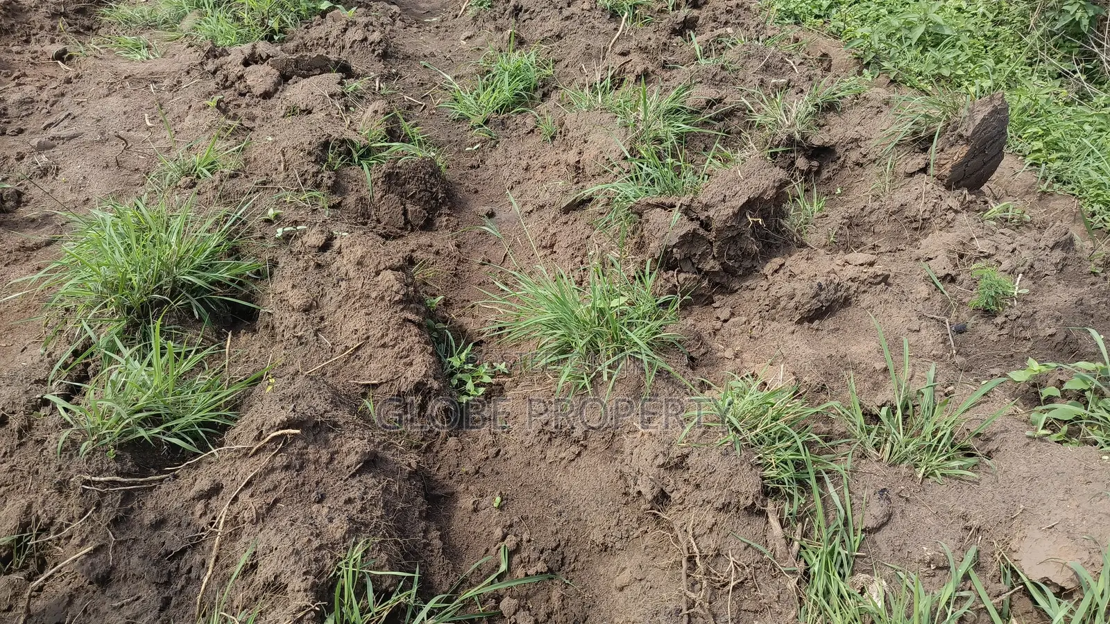 1 Square Mile of Farm Land for Sale in Kayunga at Only 6.5m Owr Acre