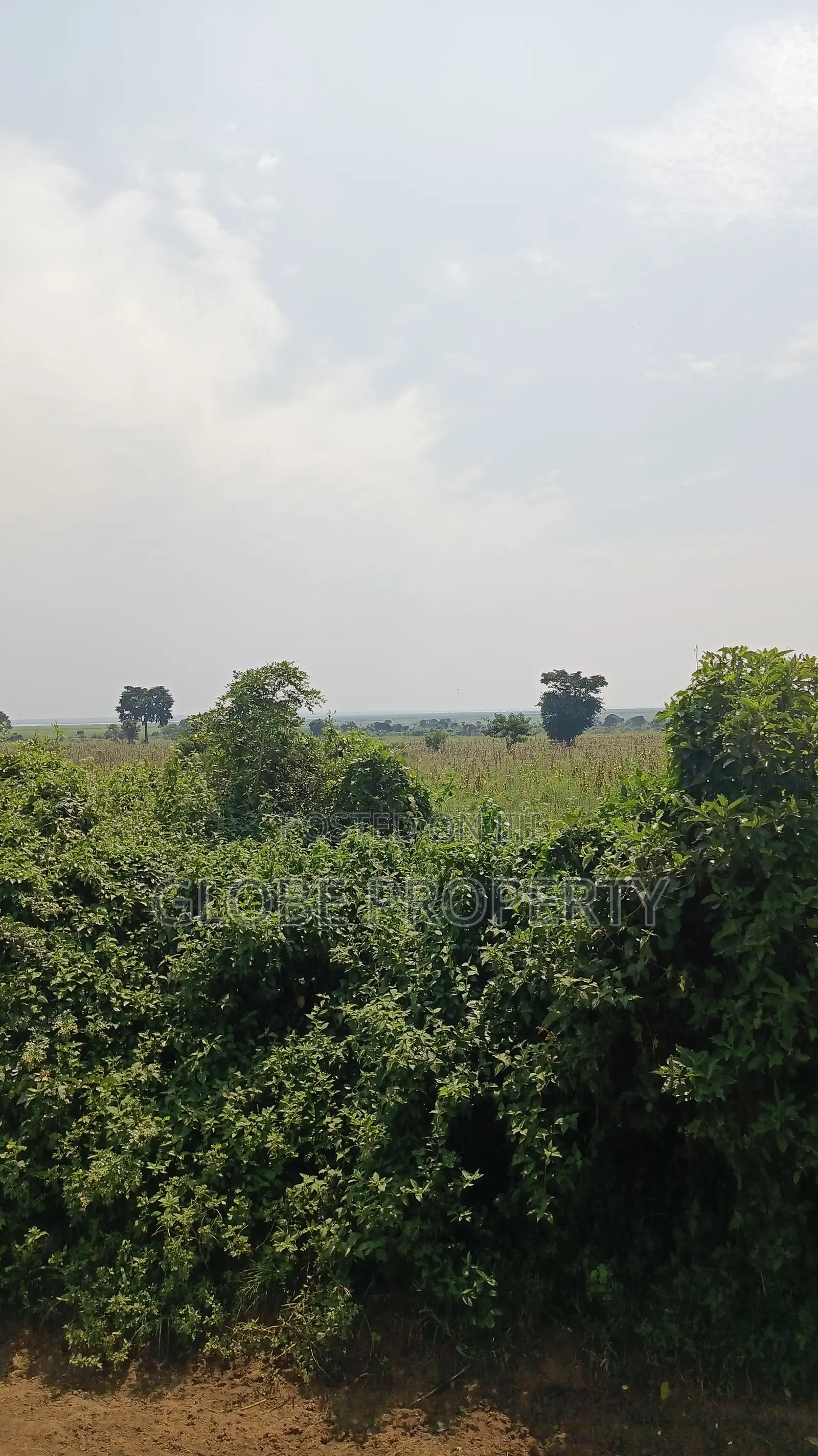 1 Square Mile of Farm Land for Sale in Kayunga at Only 6.5m Owr Acre