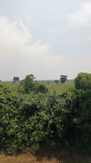 1 Square Mile of Farm Land for Sale in Kayunga at Only 6.5m Owr Acre