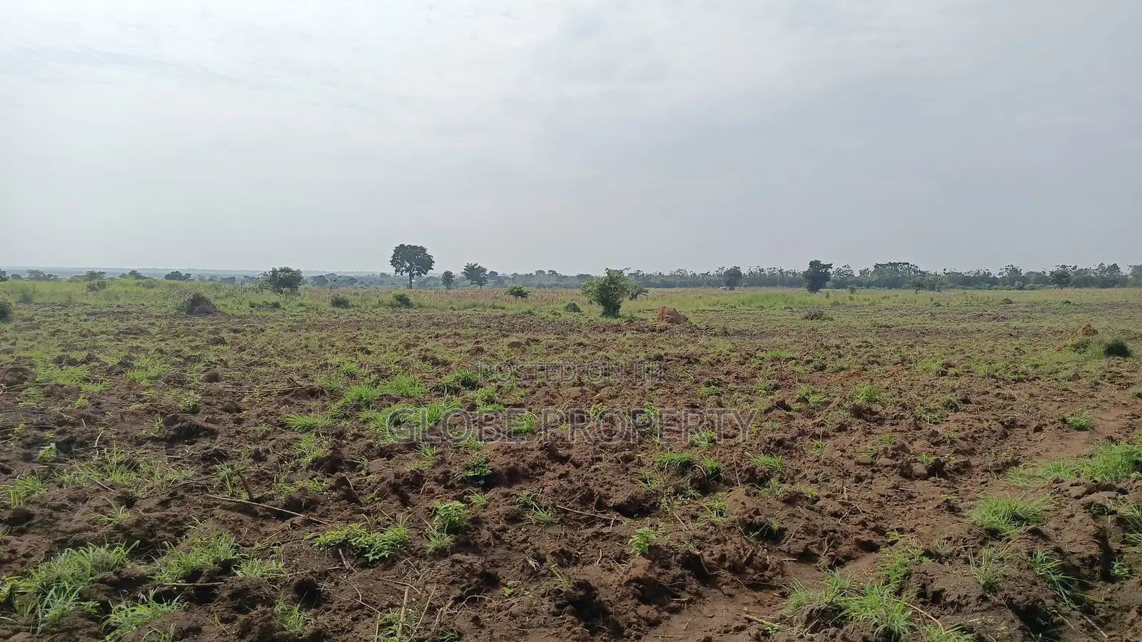 1 Square Mile of Farm Land for Sale in Kayunga at Only 6.5m Owr Acre