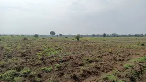 1 Square Mile of Farm Land for Sale in Kayunga at Only 6.5m Owr Acre
