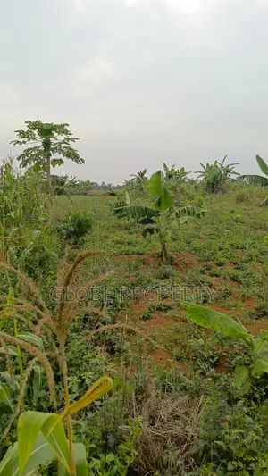 50x100 Plot for Sale in Budugala Near Nyenje at Only Ugx 27m