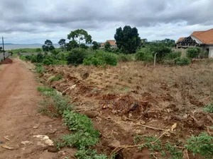 Available Lake View Plots on the Entebbe Road Bwerenga