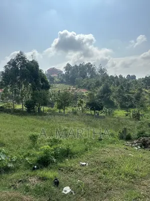 Land in Namilyango Kilowaza