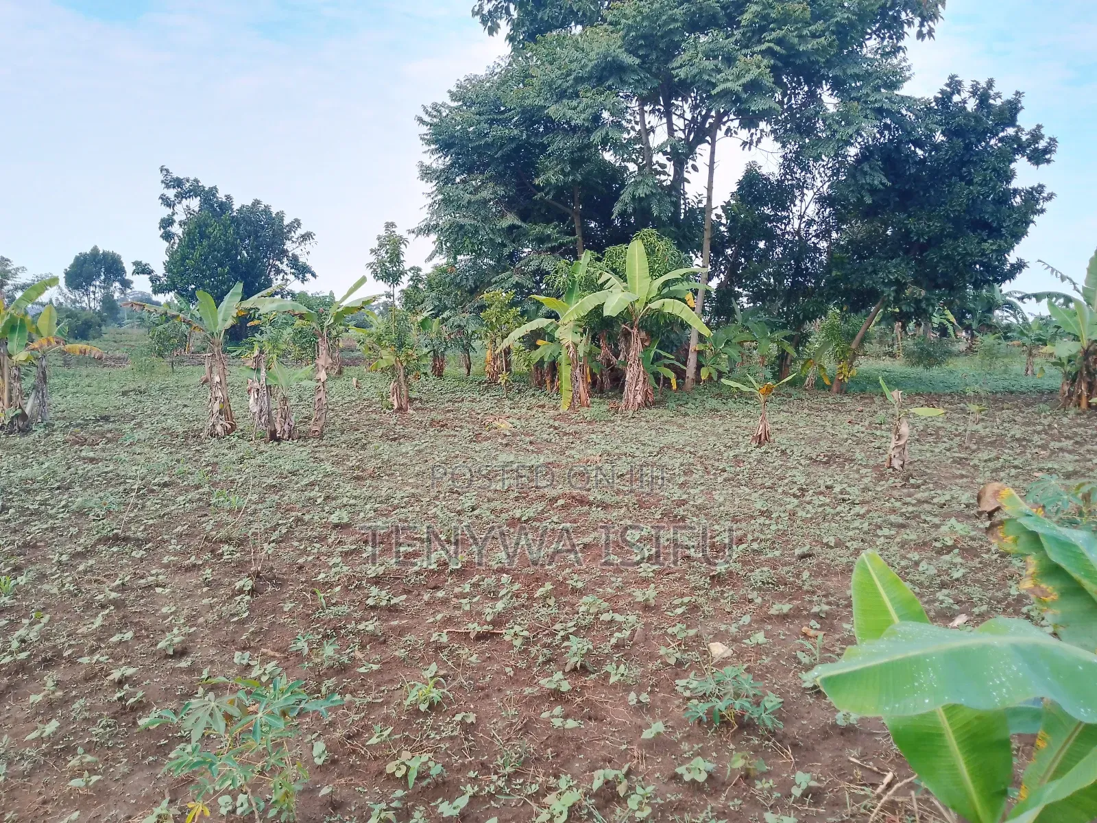 Bugweri Plot and Land Sale
