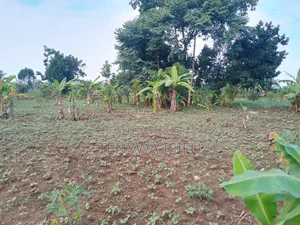 Bugweri Plot and Land Sale
