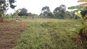Bugweri Plot and Land Sale