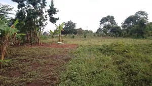 Bugweri Plot and Land Sale