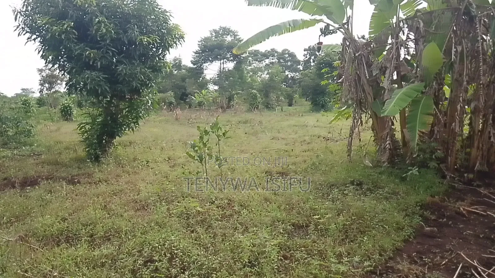 Bugweri Plot and Land Sale