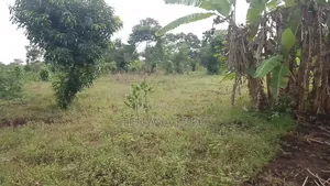 Bugweri Plot and Land Sale