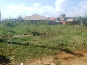 100x100ft Titled Land Is Available for Sale in Kirinya, Bukasa