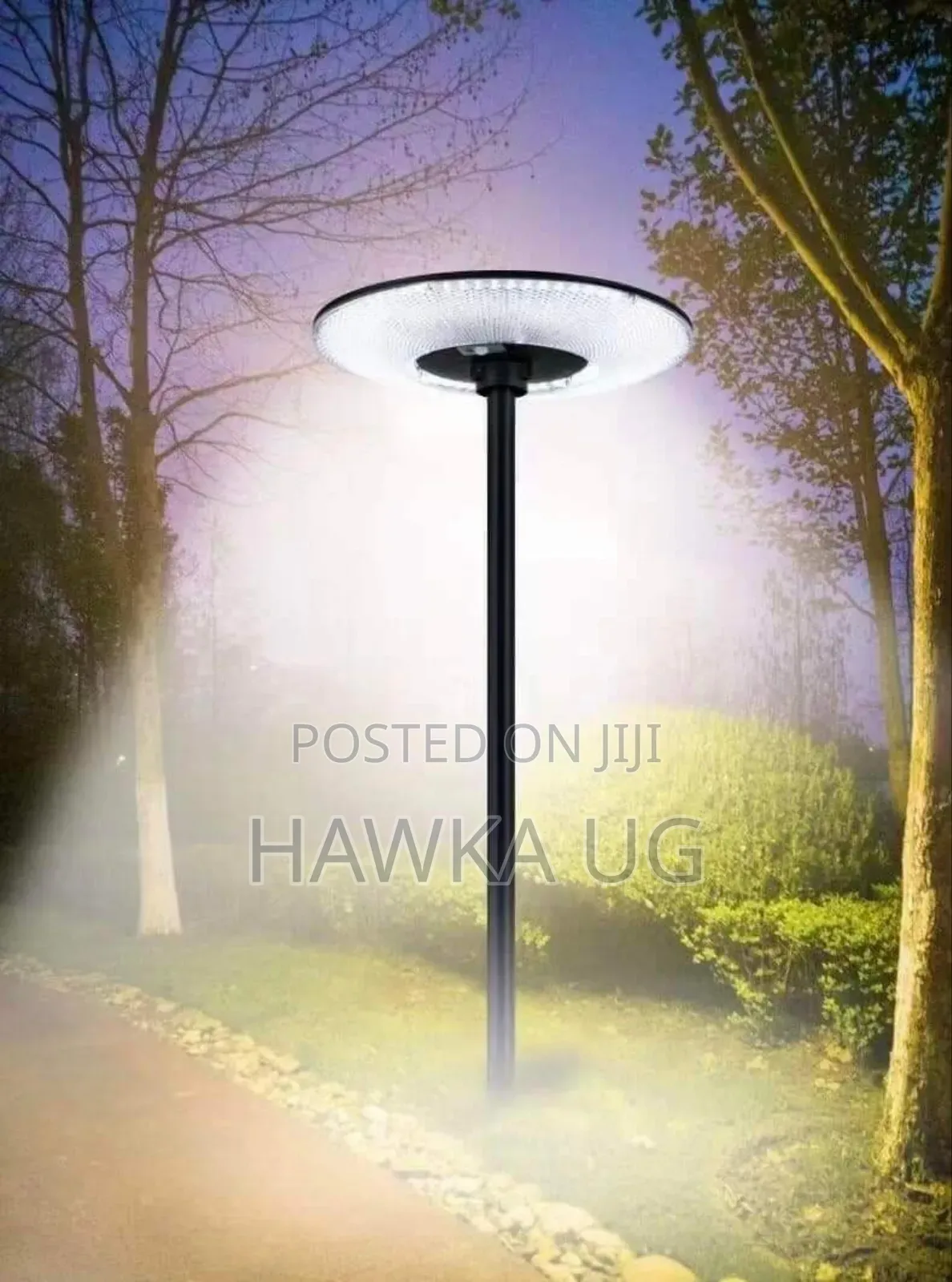 Solar Led Garden Lights