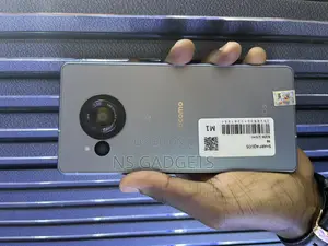Mobile Phone 256 GB Gray