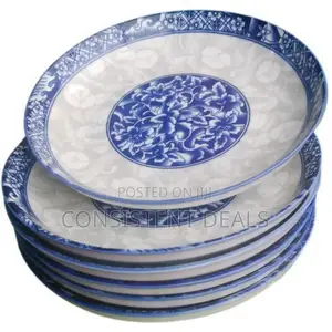 6pcs Dinner Plates