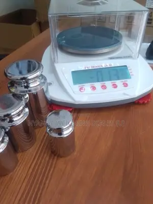 Electronic School Lab Balance Weighing Scale Digital Weighing Scale