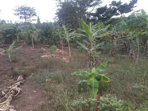 100*100feet/100feet By 100 Feet Plot