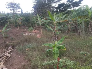100*100feet/100feet By 100 Feet Plot