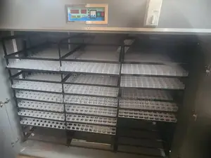 5280 Egg Incubator