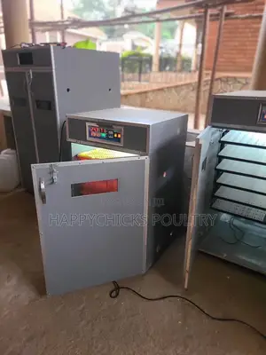 1056 Egg Incubator