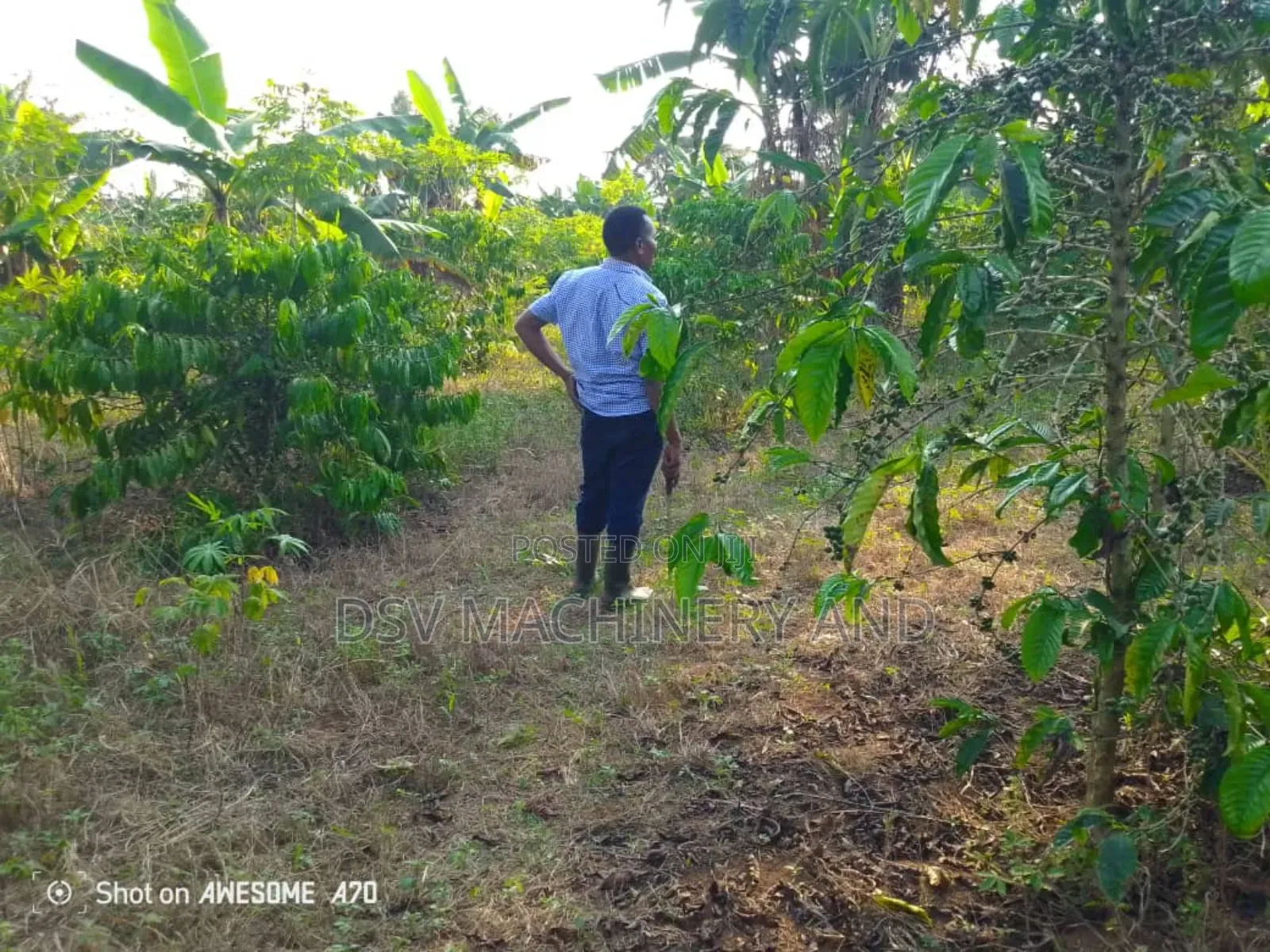 4.8 Acres/480decimals of Land With Title
