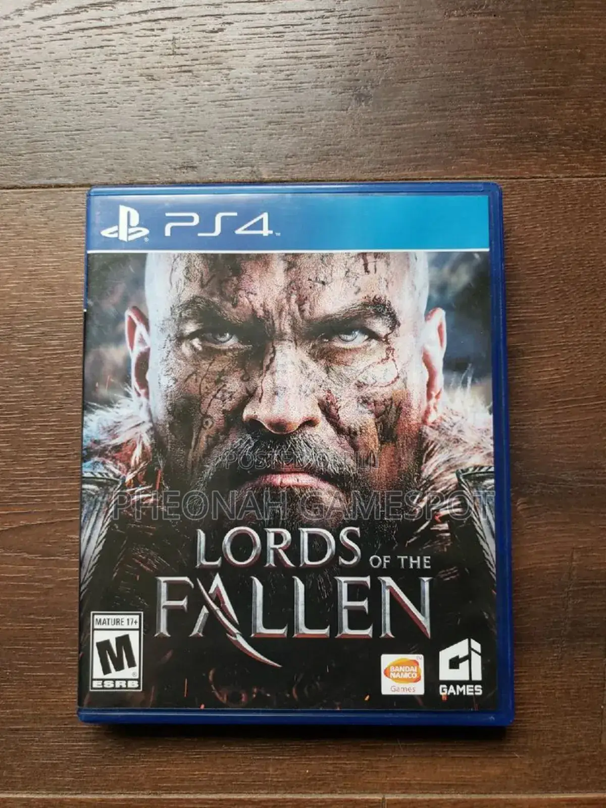 Lords of the Fallen Game Cd for Ps4