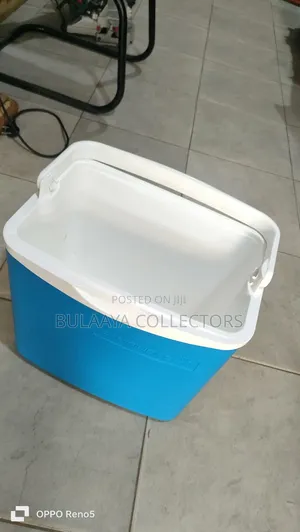 Germany Used Campingaz Portable Electric Cooler and Warmer.