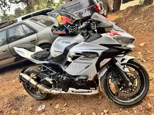 Kawasaki Ninja 400 2023 White