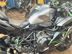 Kawasaki Ninja H2 SX 2024 Green