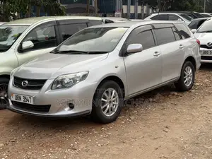 Toyota Corolla Fielder 2010 Silver