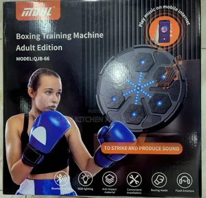 Boxing Training Machine