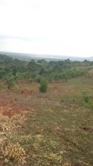 42 Acres of Mile Land at Buwunga,Mpigi