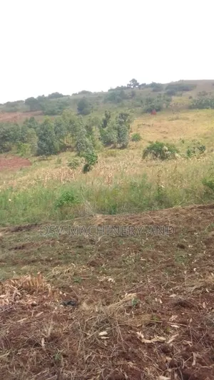42 Acres of Mile Land at Buwunga,Mpigi