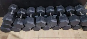 Kettle Bell, Resistance Band, Barbell, Trampoline