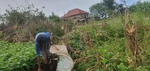 50 By 100 Ft Plot At Mpigi - Gomba Tarmac Road, Mpenja