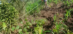 50 By 100 Ft Plot At Mpigi - Gomba Tarmac Road, Mpenja