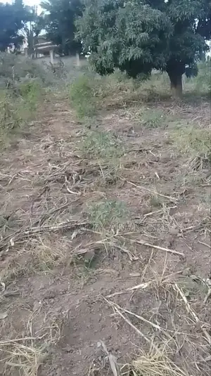 25 Decimals at Kitiko, Lubowa at 450m