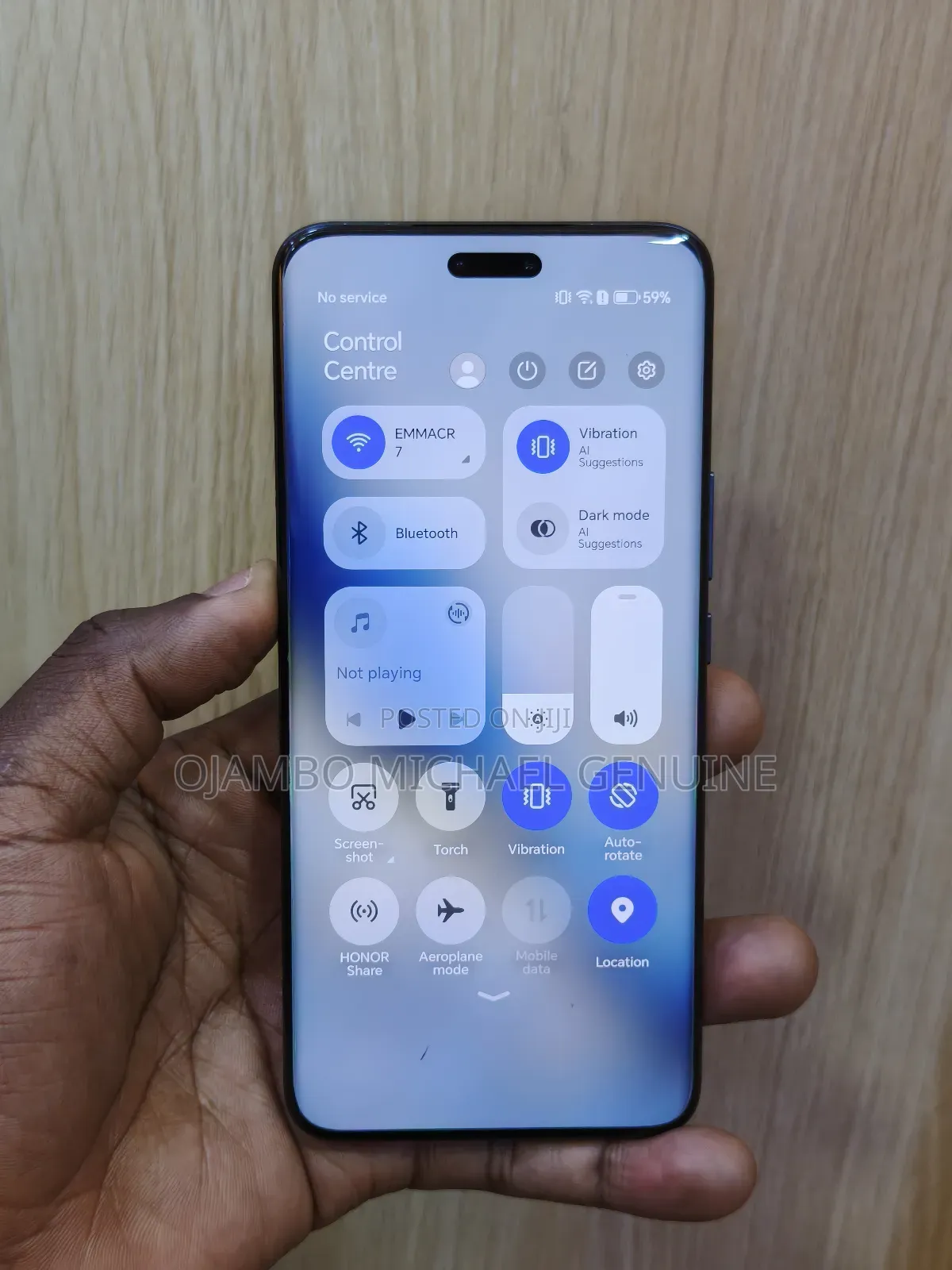 Honor Magic6 Pro 512 GB Gray