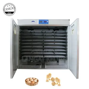 3168 Egg Incubator ( Imported)