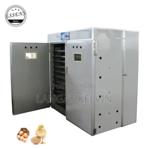 3168 Egg Incubator ( Imported)