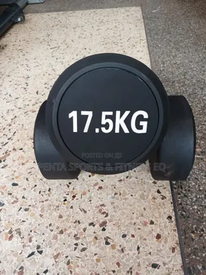 Dumbell 17.5kg Pair