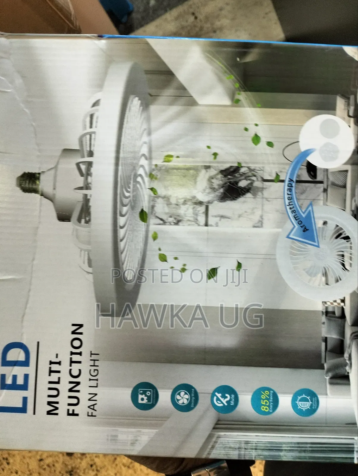 Multifunctional Fan Light